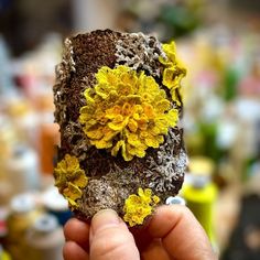 a person holding up a piece of rock with yellow flowers on it's side