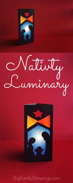 an image of a book cover with the words nativity seminary on it