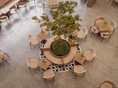 an overhead view of tables and chairs with a tree in the center surrounded by seating