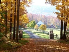 a country road surrounded by trees with yellow leaves on the ground and houses in the background