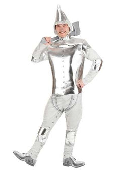 a man in a silver suit is posing for the camera