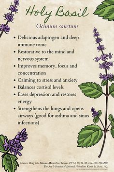 Herbs & Teas | Liz Parker, Author | In The Shadow Garden Herbs For Tea, Herbal Healing, Herbal Magic, Holy Basil