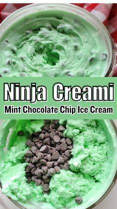 mint chocolate chip ice cream in a bowl with text overlay that reads, nibble cream mint chocolate chip ice cream