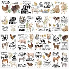 the farm animals and their names are shown in this image, with different fonts