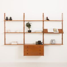 a wooden shelf with several shelves on top of it and a potted plant in the middle