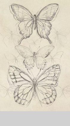 Butterfly Art Drawing, Butterfly Sketch, Drawing Eyes, Butterfly Drawing, Doodle Art Designs, Drawing Prints, Book Art Drawings, Butterfly Art