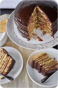 there is a chocolate cake on the plate with one slice cut out and another piece missing