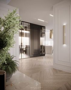 the interior of a modern apartment with white walls and wood flooring, large plant in front of black door