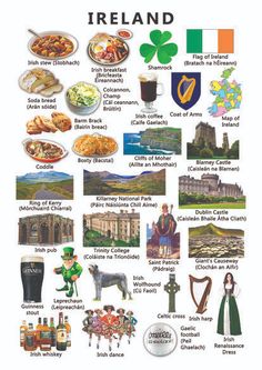 a poster with pictures of irish food and drinks on it's side, including beer