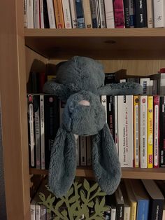 a stuffed animal sitting on top of a book shelf in front of a bookshelf