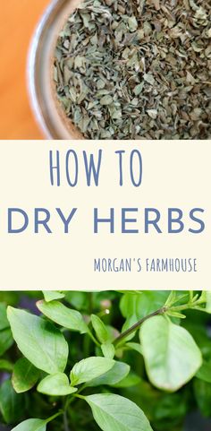 how to dry herbs with morgan's farmhouse