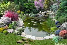 a garden pond surrounded by rocks and flowers