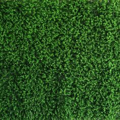 an overhead view of a green hedge