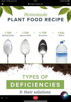 the info sheet shows different types of plants and their uses for water, food, and other