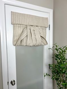 a white door with a window curtain and potted plant