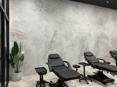 a room with chairs and a potted plant on the floor in front of a wall