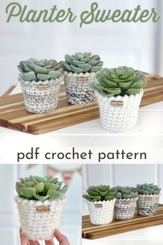 crocheted planters are the perfect way to display succulents