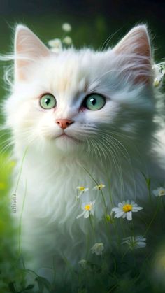 a white cat with green eyes is sitting in the grass and daisies are around him