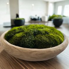 a bowl filled with green moss sitting on top of a wooden table