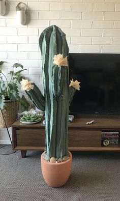 a large green cactus sitting in front of a tv