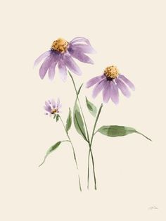 three purple flowers with green leaves on a white background, watercolor drawing or illustration