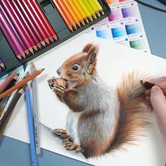 a drawing of a squirrel with colored pencils next to it