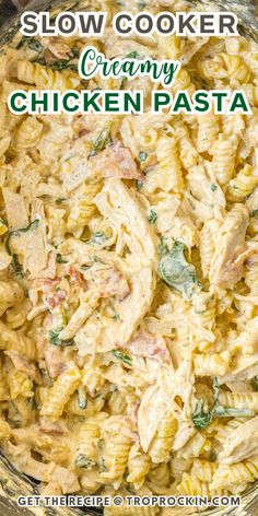 slow cooker creamy chicken pasta in a glass bowl