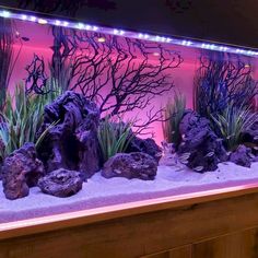 an aquarium filled with plants and rocks in front of a red light display at a restaurant