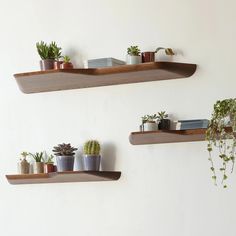 two wooden shelves with plants and books on them