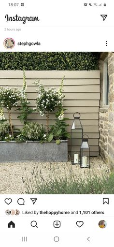 the instagram page shows an image of some plants and a lantern in front of a house