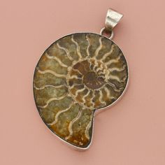 Clearancesterling Silver Huge Bezel-Set Ammonite Pendant Pre-Loved But In Great Condition - Weight - 46.5g Width - 48mm Height - 79mm Item Id - Abf55003720 Ammonite Pendant, Sterling Jewelry, Accessories Jewelry Necklace, Women Accessories Jewelry, Bezel Setting, Sterling Silber, Pendant Necklaces, Womens Jewelry Necklace, Favorite Jewelry