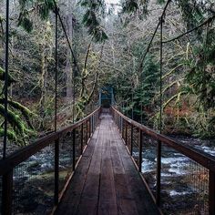 a wooden bridge over a river surrounded by trees