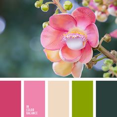 the color scheme is pink, green and yellow with an orange flower on it's center