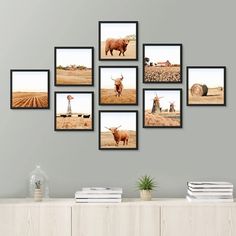 a set of six framed pictures hanging on a wall