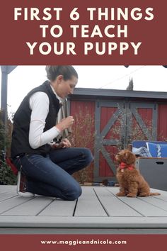 a woman kneeling down next to a brown dog on top of a wooden deck with text overlay that reads, first 6 things to teach your puppy