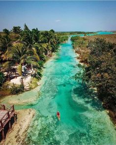 an aerial view of a person in a kayak on the water near palm trees