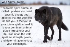 a wolf walking across a snow covered field with a poem written in front of it