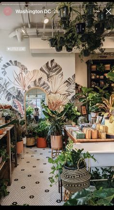 the inside of a store with lots of plants and potted plants on the wall