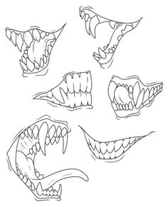 four different types of teeth in the shape of an animal's mouth