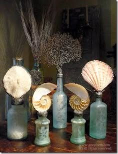 several vases with shells and seashells in them sitting on a wooden table