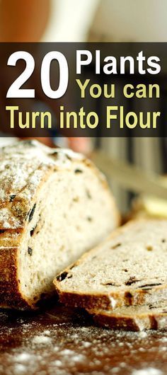 a loaf of bread sitting on top of a wooden table with the words 20 plants you can turn into flour