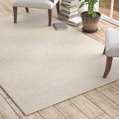 a white rug with two chairs and a potted plant on the floor next to it