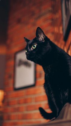 a black cat sitting on top of a couch