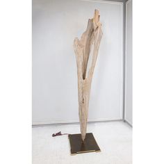 a piece of driftwood sitting on top of a wooden stand next to a white wall