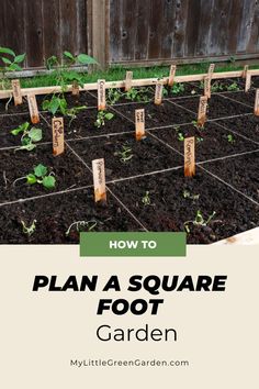 How To Plan a Square Foot Garden Raised Garden Beds 4x4, Vegetable Raised Beds Layout, Square Ft Gardening Layout, Small Beginner Garden Layout, Small Garden Plots Layout, Small Garden Beds Ideas, Raised Garden Beds Planting Guide, Backyard Garden Layout Ideas Vegetable, Raised Garden Bed Size