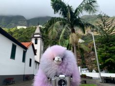 a stuffed animal that is on top of a camera in front of a house and palm trees