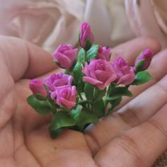 small pink flowers in the palm of someone's hand