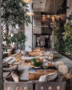 a living room filled with lots of couches and tables next to plants on the wall