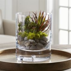 a glass vase filled with rocks and plants