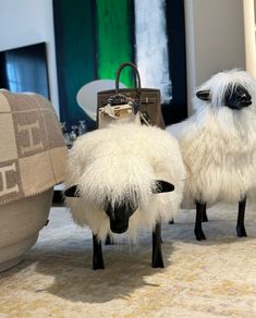 two sheep standing next to each other in front of a purse on the floor,